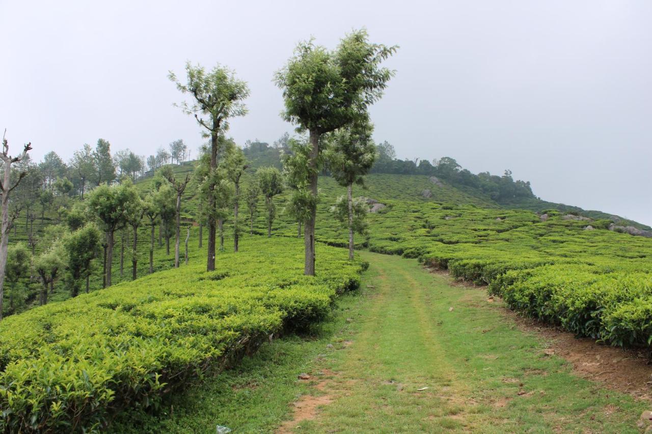 Hidden Heaven Hotel Coonoor Kültér fotó